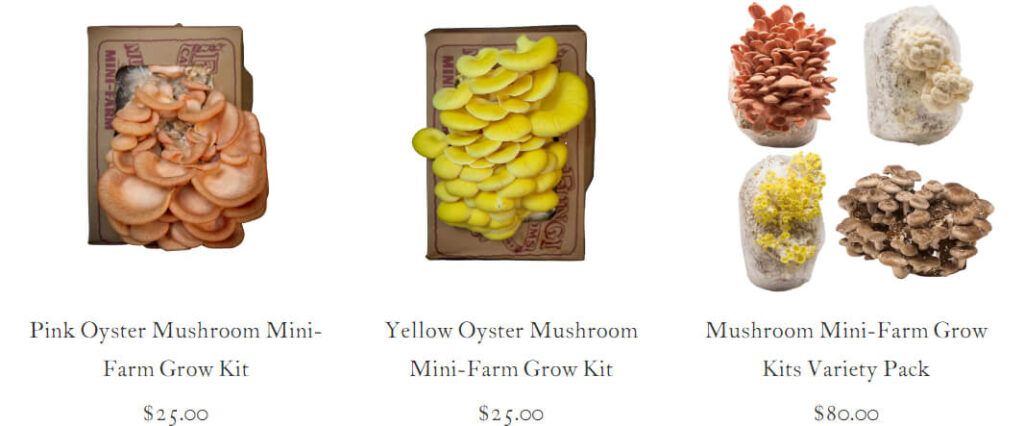 mushroom-kit-far-west-fungi