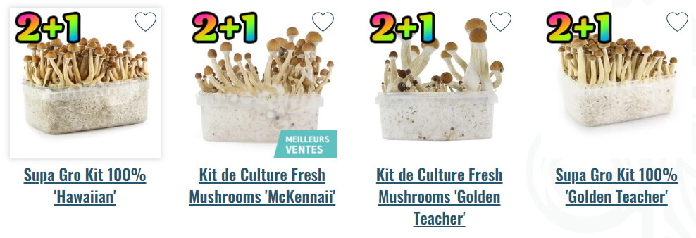 mushroom-kit-zamnesia